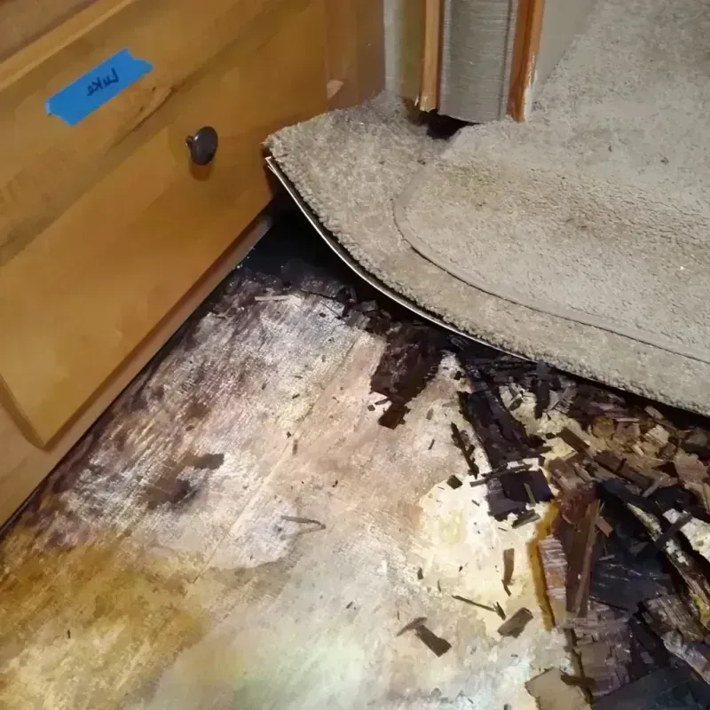 Best Wood Floor Water Damage Service in Ashland, KY